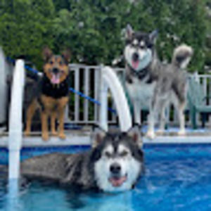 Meet your Posher, Adrienne